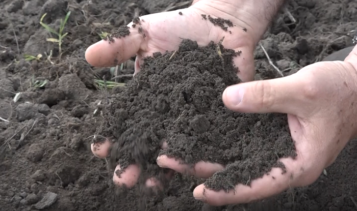 A nova revolução agrícola começa no solo e passa pela biotecnologia